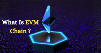 evm chain meaning