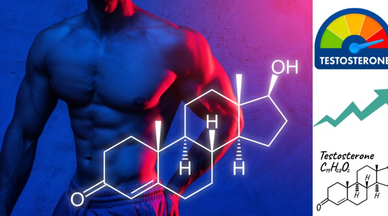supplement to increase testosterone level