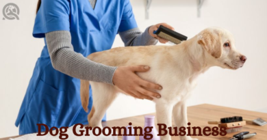 do i need a licence to run a dog grooming business from home